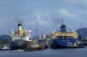 安全性・耐久性に優れたメッシュシートの選び方とコストパフォーマンス向上のポイント